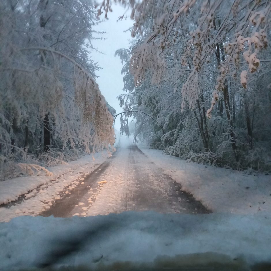 Apie į Lietuvą grįžusią žiemą: tiek sniego balandį – daug