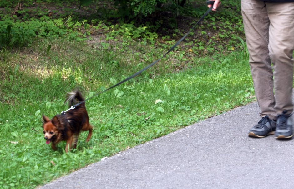 Konfliktas Draugystės parke: puolė ir šuo, ir jį atsivedusios paauglės