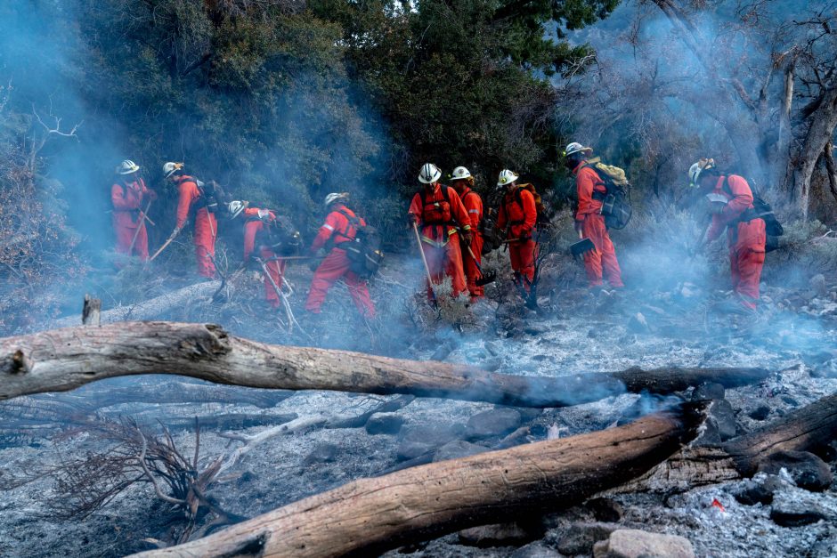 JAV ir Kanados vakaruose toliau siaučia didžiuliai miškų gaisrai