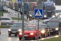 Rūpestis: sunkiojo transporto sankaupos Klaipėdos uosto prieigose liudija apie neišspręstas problemas.