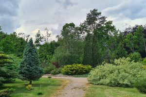 Atnaujintame Dubravos arboretume – 750 naujų augalų rūšių